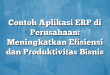 Contoh Aplikasi ERP di Perusahaan: Meningkatkan Efisiensi dan Produktivitas Bisnis