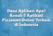 Dana Aplikasi Apa? Kenali 5 Aplikasi Pinjaman Online Terbaik di Indonesia