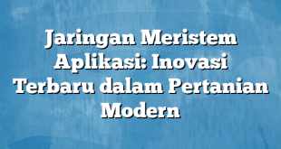 Jaringan Meristem Aplikasi: Inovasi Terbaru dalam Pertanian Modern