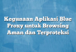 Kegunaan Aplikasi Blue Proxy untuk Browsing Aman dan Terproteksi