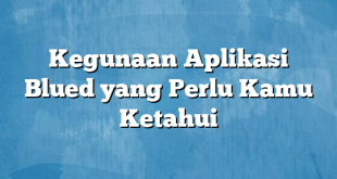 Kegunaan Aplikasi Blued yang Perlu Kamu Ketahui