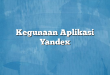 Kegunaan Aplikasi Yandex