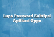 Lupa Password Enkripsi Aplikasi Oppo