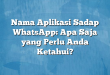 Nama Aplikasi Sadap WhatsApp: Apa Saja yang Perlu Anda Ketahui?