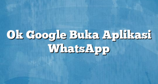 Ok Google Buka Aplikasi WhatsApp