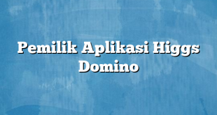 Pemilik Aplikasi Higgs Domino