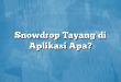 Snowdrop Tayang di Aplikasi Apa?