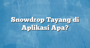 Snowdrop Tayang di Aplikasi Apa?