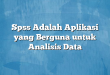 Spss Adalah Aplikasi yang Berguna untuk Analisis Data