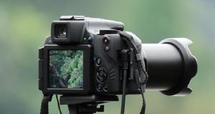 Cara Atur Efek Kamera Canon yang Mudah untuk Para Pemula (pixabay.com)
