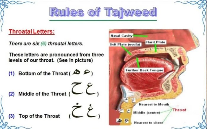 Tajweed Rules of the Quran (Complete Set of 3 Books) (In English ...