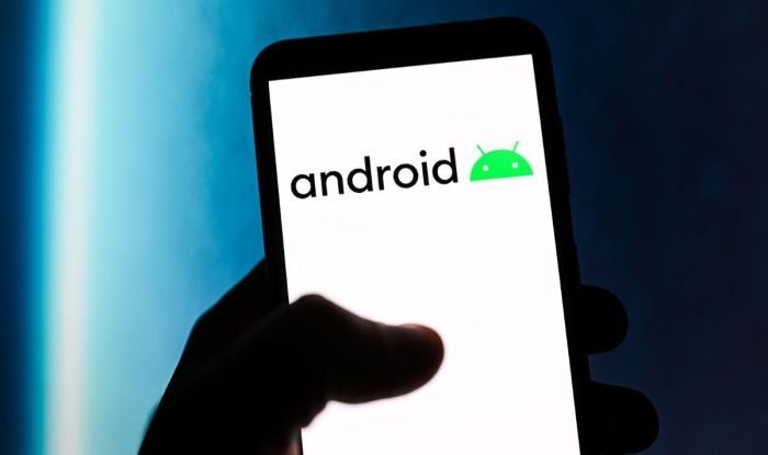 Bizarre new Android feature unveiled in Google leak - and users are ...